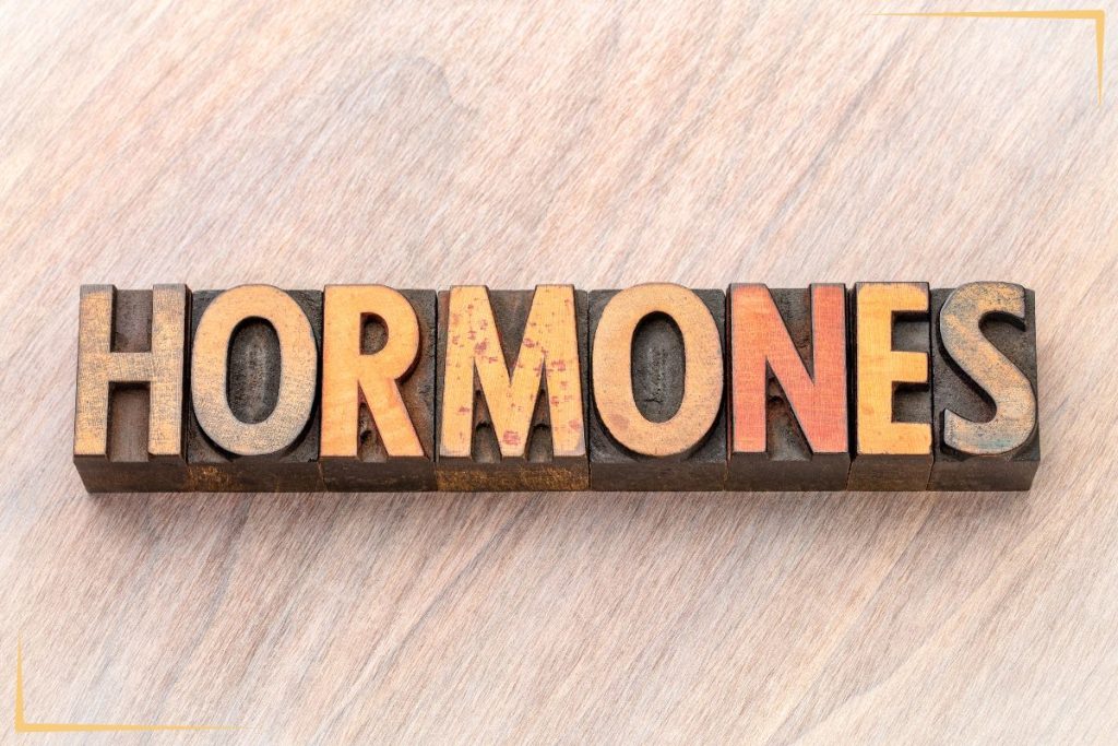 Block letters of the word HORMONES.